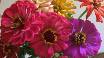 Flower Share (Bouquet Subscription)